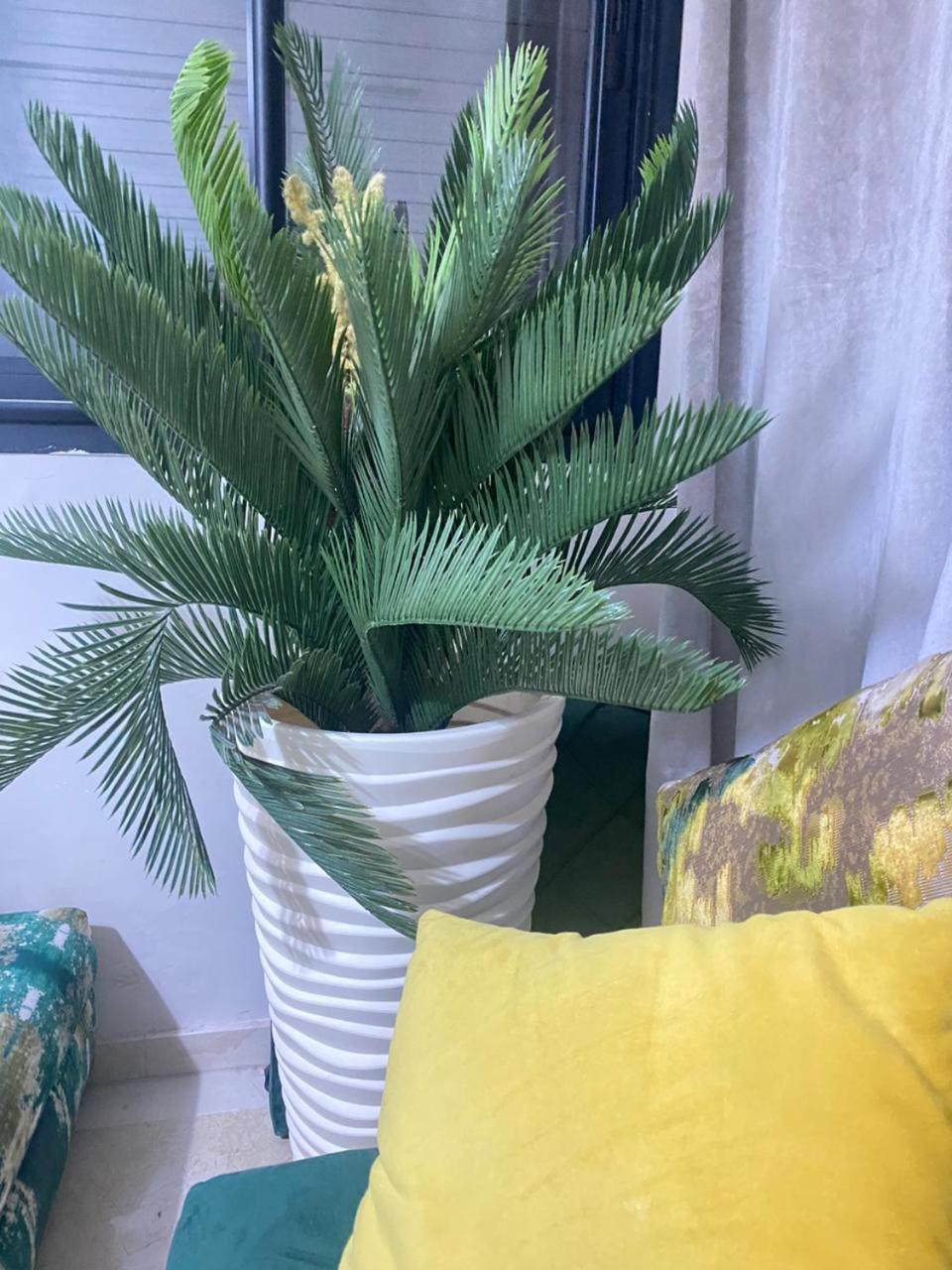 Cosy & Magnifique Appartement Marrakech 马拉喀什 外观 照片